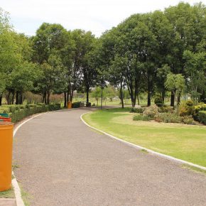 14421534645_0c4126d0da_z