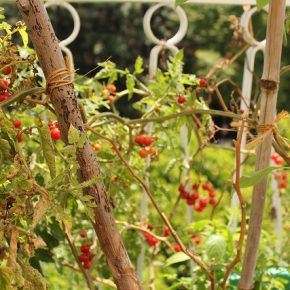 15082267495_e2dacc4234_z