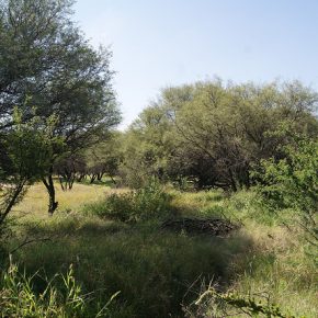 21658950480_45b12a8b41_z