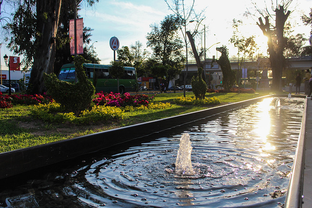 Diputados de Aguascalientes presentaron iniciativas en materia ambiental, civil y penal