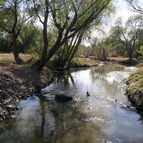 24896912772_d2a0e80f28_z