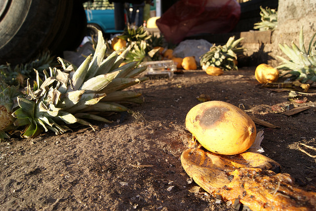 El 30 por ciento de las hortalizas y frutas en México se pierden por falta de estrategias de comercialización