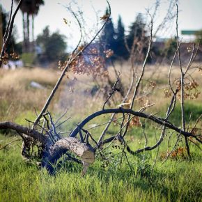 25694937177_e3cf46b141_z