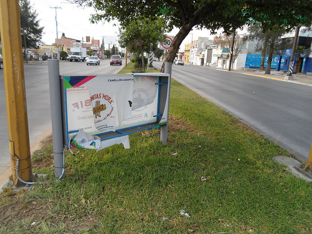 En tres meses, 40 empresas en Aguascalientes han sido dadas de baja de Adopta un Camellón