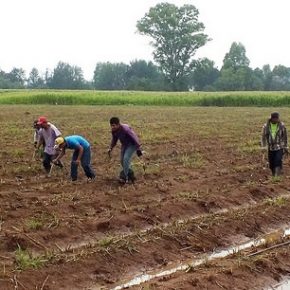 28923175025_69904fbfb7_z