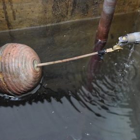 29262909420_cbf652692d_z