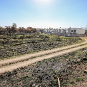 31698442193_f4302720aa_z