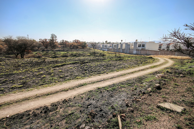 Partido Verde de Aguascalientes está en contra de que se fraccione La Pona