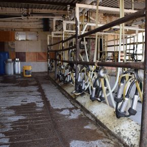 33198590184_2ae2bd2a61_z