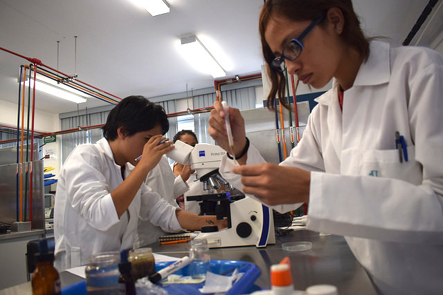 Lanzan programa para impulsar la formación de doctores en ciencia en México