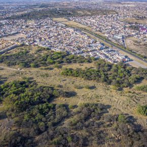 38755287080_88f5e3f366_z