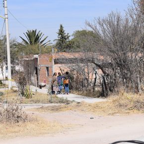 38987585374_ef61952f7d_z