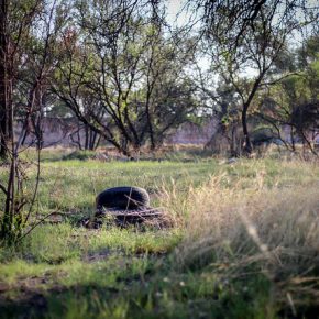 39854944614_fea442fc4b_z