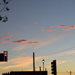 40487709101_9f421b722f_z