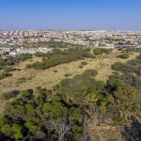 40522909872_9f1aebc36b_z