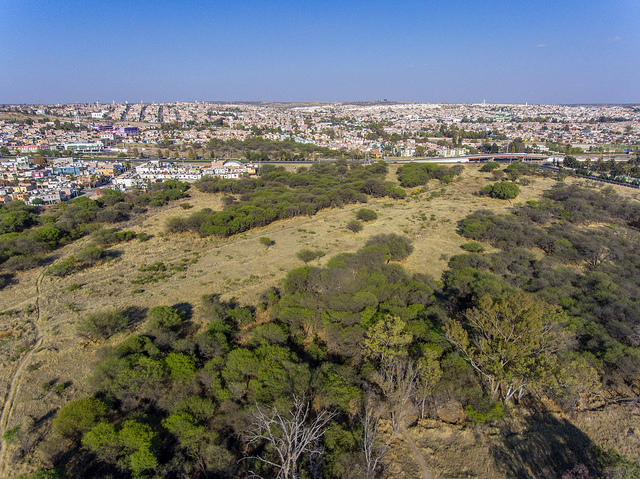 Debió protegerse la totalidad de La Pona, insisten ambientalistas de Aguascalientes