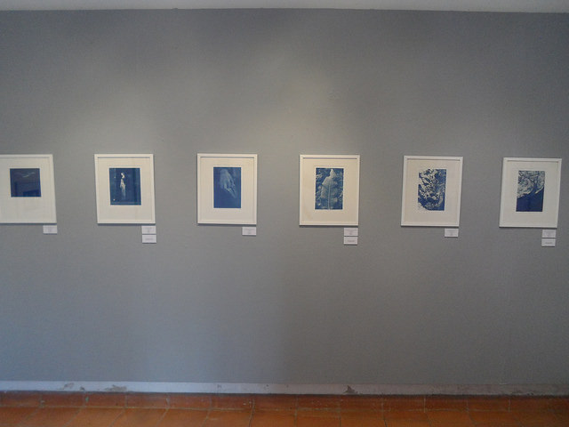 Cianotipos de Daniel Eudave Santos