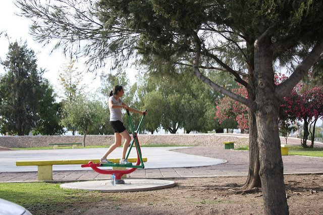 Acreditan a parques del estado como centros de educación y cultura ambiental