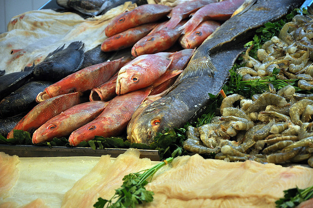 Listo el operativo de regulación sanitaria de Semana Santa en Aguascalientes