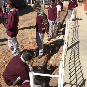 REFORESTACIÓN EN ESCULA 69 (1)