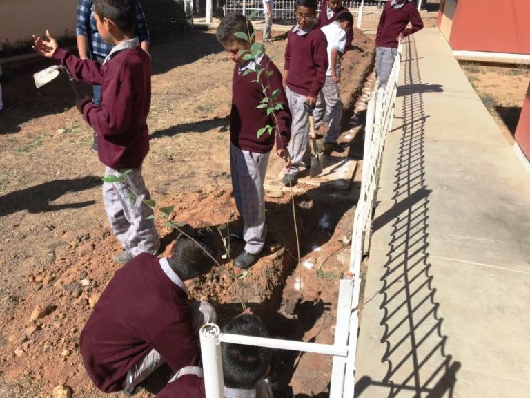 Reforestan secundaria en Asientos, Aguascalientes