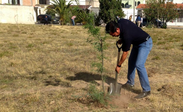 Realizan jornada de reforestación en Valle del Campestre