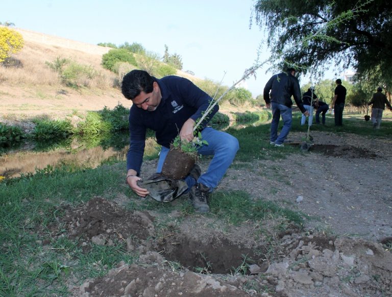 Jornada de reforestación en inmediaciones del Río San Pedro
