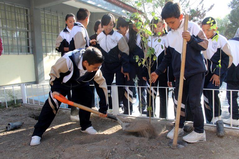 Inicia jornada de reforestación en planteles de educación básica
