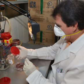 12075006894_83c693bc5f_z