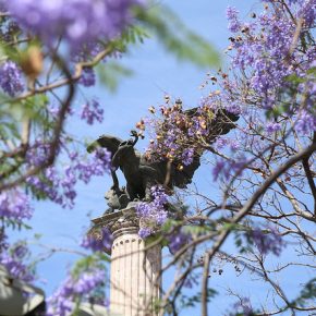 13683270764_db96c8bf04_z