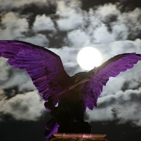 15474301415_d7eabc5667_z