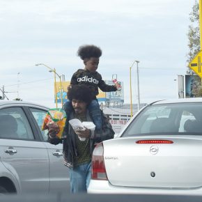 26123089228_fbb5fb2b48_z