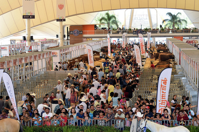 Inauguran segunda etapa de la Exposición Ganadera de la FNSM en Aguascalientes