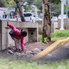 36798446902_315a8f3d32_z