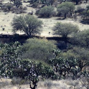 38581528710_1eb91fde0f_z