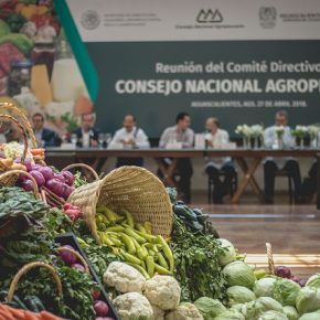 39938310250_b59e0d1c04_z