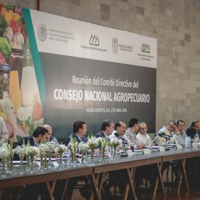 39938311100_403198544b_z