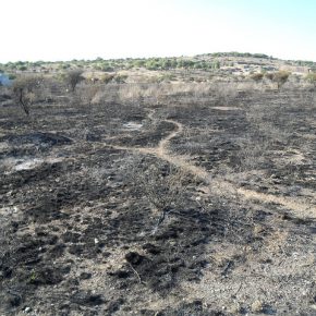 40506861534_6f1bb5268b_z