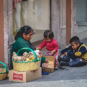 40621706432_35e161b9b9_z