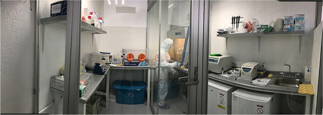 Identifican diversidad genética de la época prehispánica