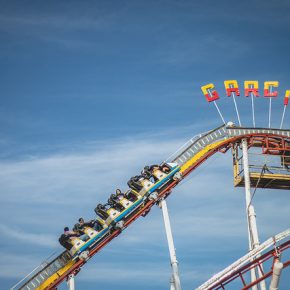 41572277242_71da12488a_z