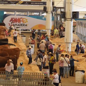 41791128941_19daf154f7_z