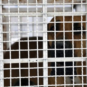 6224411518_1cc53e26dd_z