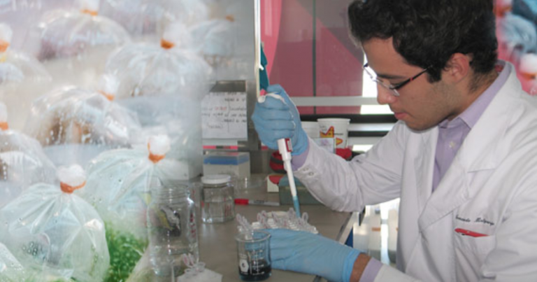 Material biodegradable para sustituir bolsas de plástico