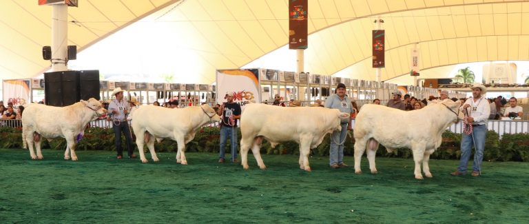La exposición regional ganadera celebra su edición número 85 en la FNSM de Aguascalientes