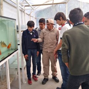 PRODUCCIÓN DE LANGOSTA DE AGUA DULCE