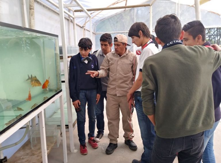 Estudiantes del Cetac visitan granja de cultivo de langosta