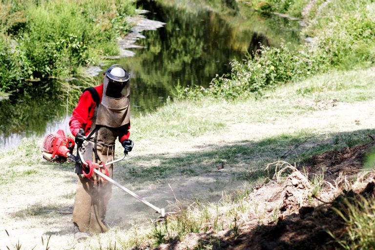 Realizan labores de limpieza en zonas reforestadas de Aguascalientes
