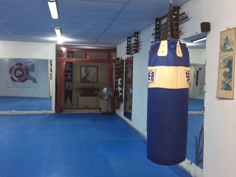 Águila o Sol. Japoneses en Aguascalientes | Artes marciales. Budo: el camino del samurai