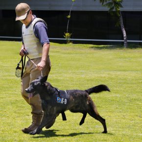 191 Red de Seguridad RCO ANUIES_2